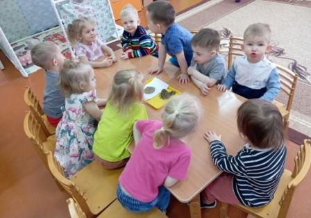 Изучение и охрана птиц Омской области Изучение и охрана птиц Омской области.